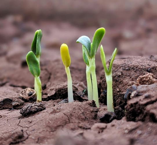29 Experts Reveal Their Top 3 Recommendations to Grow Small Businesses 29 Experts Reveal Their Top 3 Recommendations to Grow Small Businesses